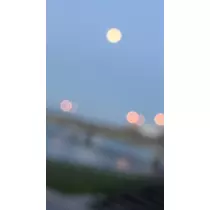 いちご