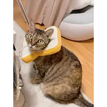 華宮 れい