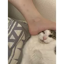 ルイ