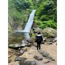みゆ