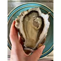 しほ