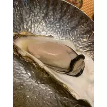 三鷹 真綺