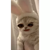 さお