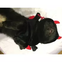 ティナ