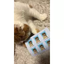 るな