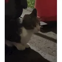 みさき