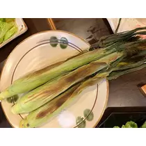泉  みらい