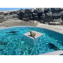 まり
