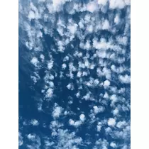 成海 まお