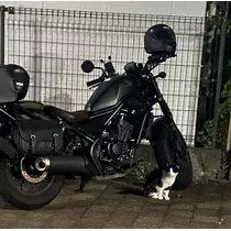 月城 ウタ