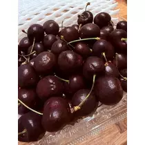 白石 愛莉