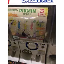 柊 りおん