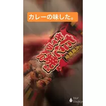 祭 ラン