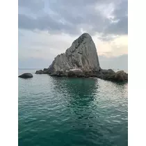 レイ