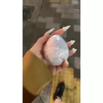 かびるんるんさわ