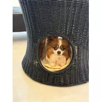 あいら