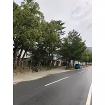 姫花