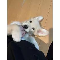 片桐 さやか