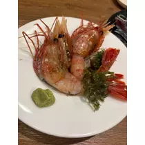 咲良 水月