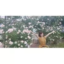 りか
