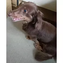 あきな