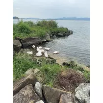 えりか