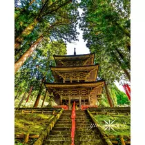 神崎　唯