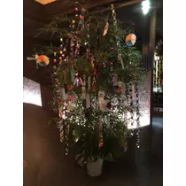 美月