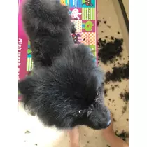 ティナ