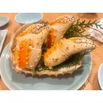 椿 あお