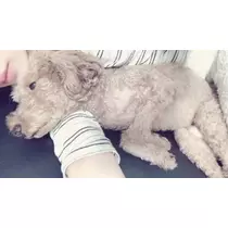美波 あいか