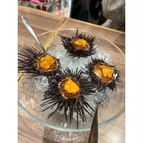 れんか