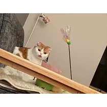 るな