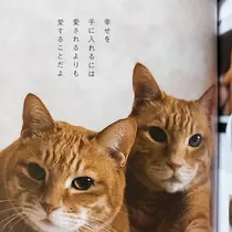 紫音