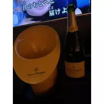 白石 愛莉