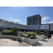 あおい