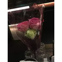 白石 愛莉