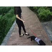 りえ