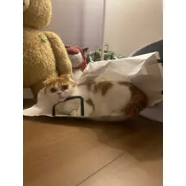るな