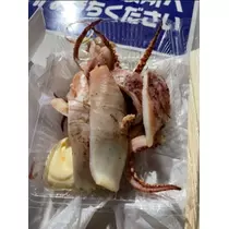 宝條 夏恋