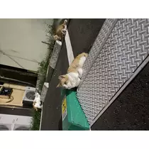 ハル