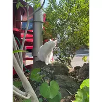かびるんるんさわ