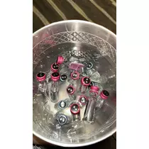 アユ