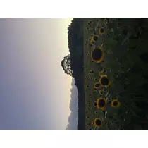 め ぐ