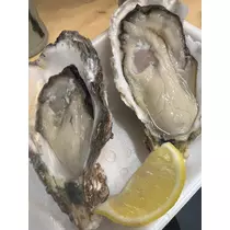 きょう