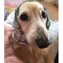 ティナ