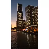本城 椿