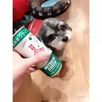 美波 なつ
