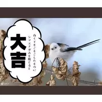 ひな
