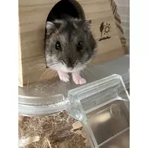 ななみ
